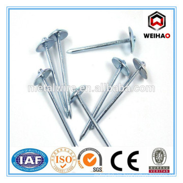 Hot sales! China factory supply high quality galvanized umbrella head roofing nails